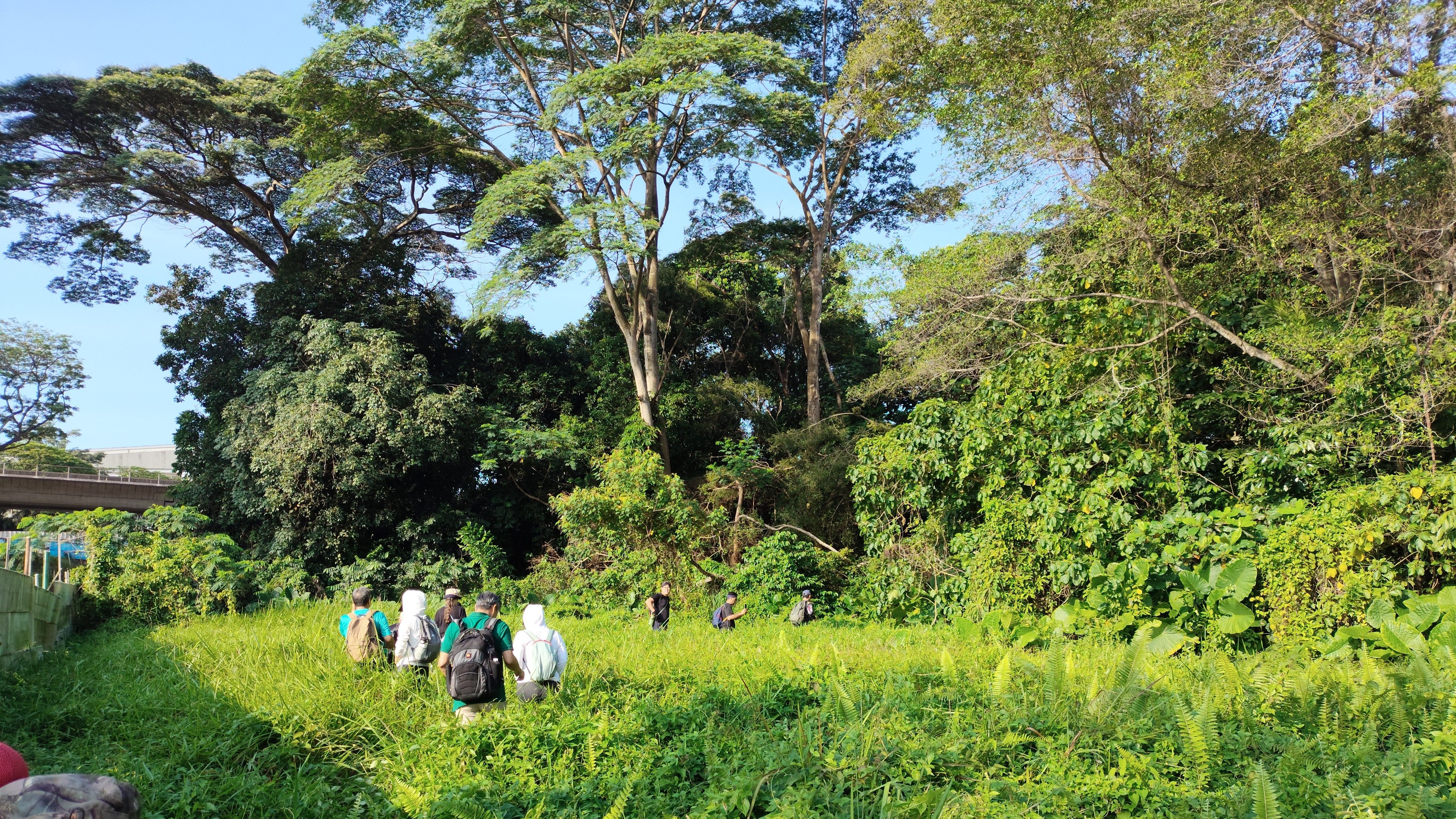 Entry into Dover forest