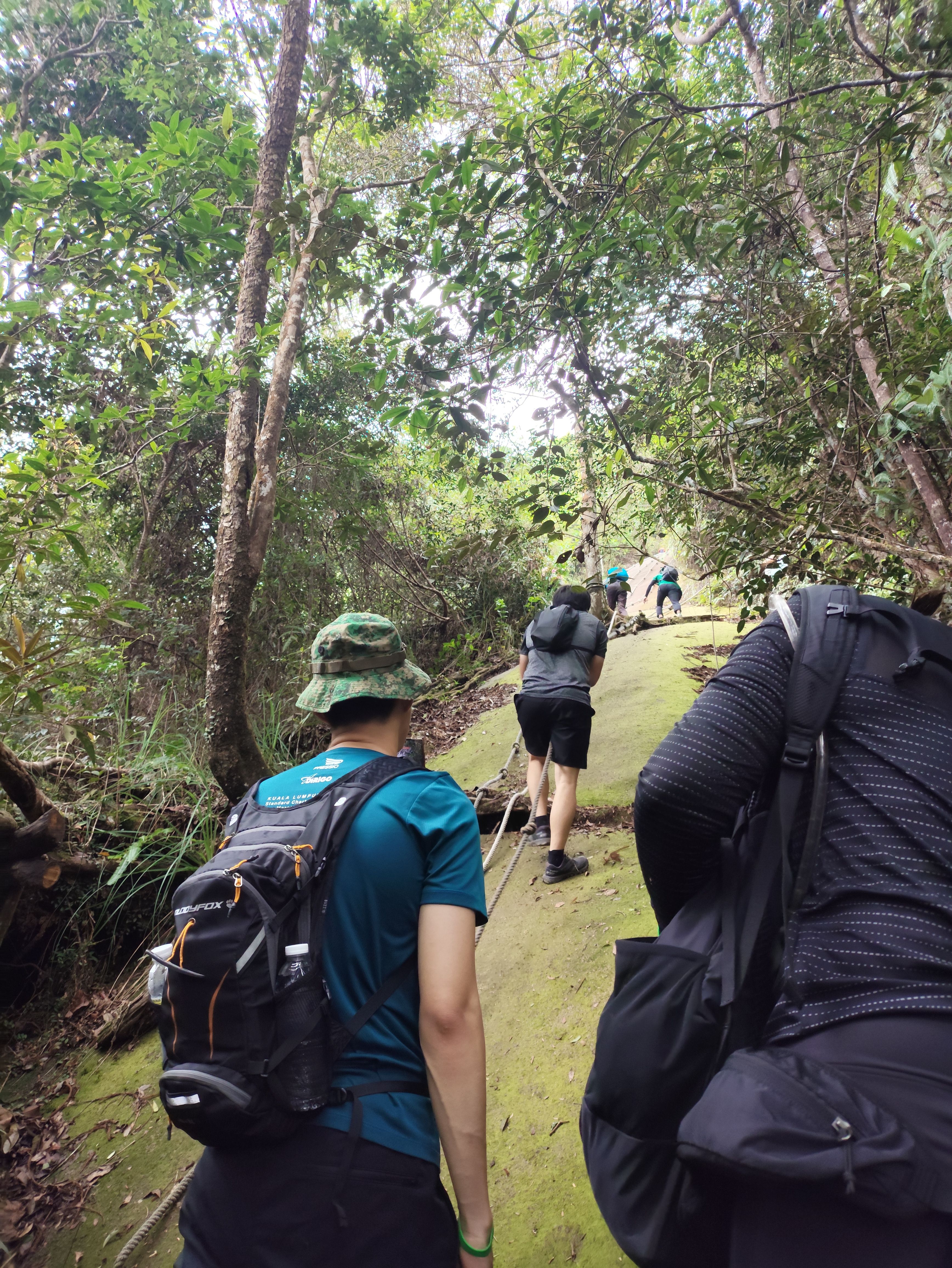 A section of the trail where you had to go up a rock face with a rope.