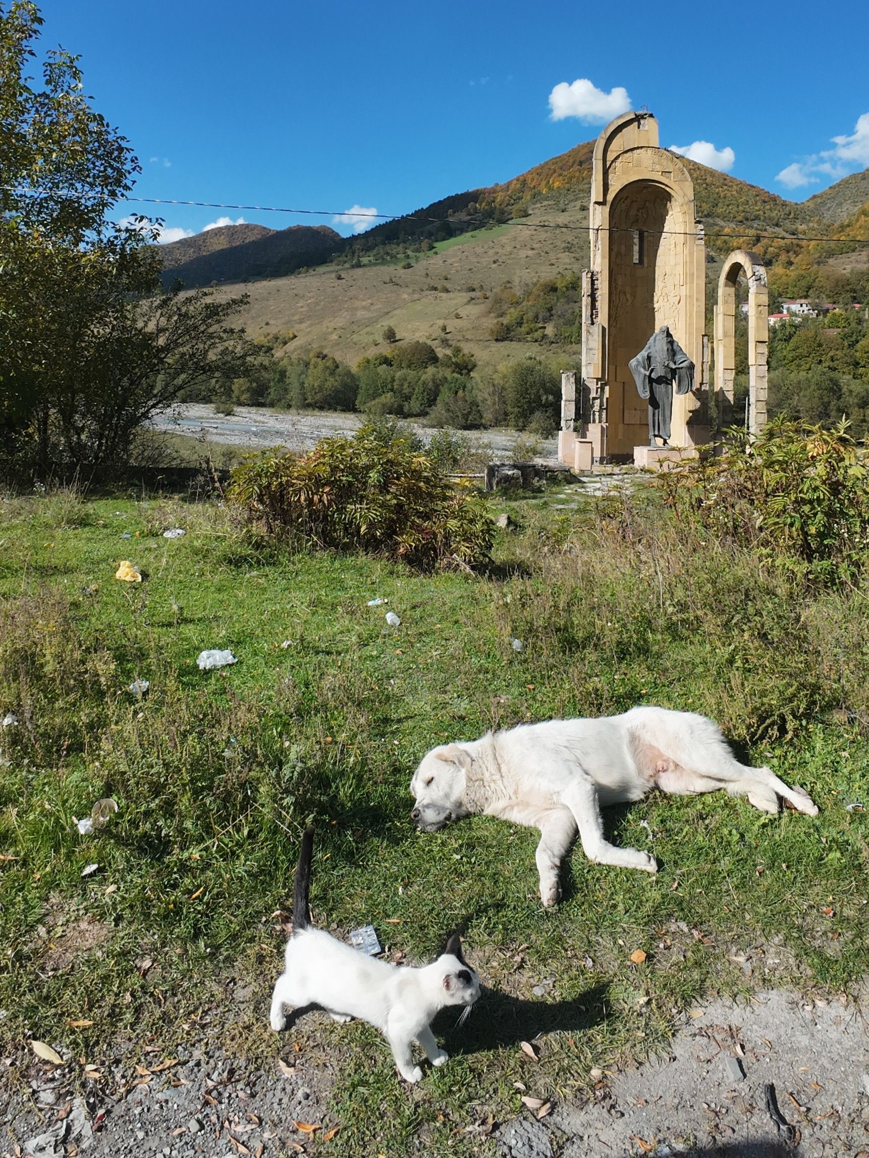 Cat and dog ain front of statue