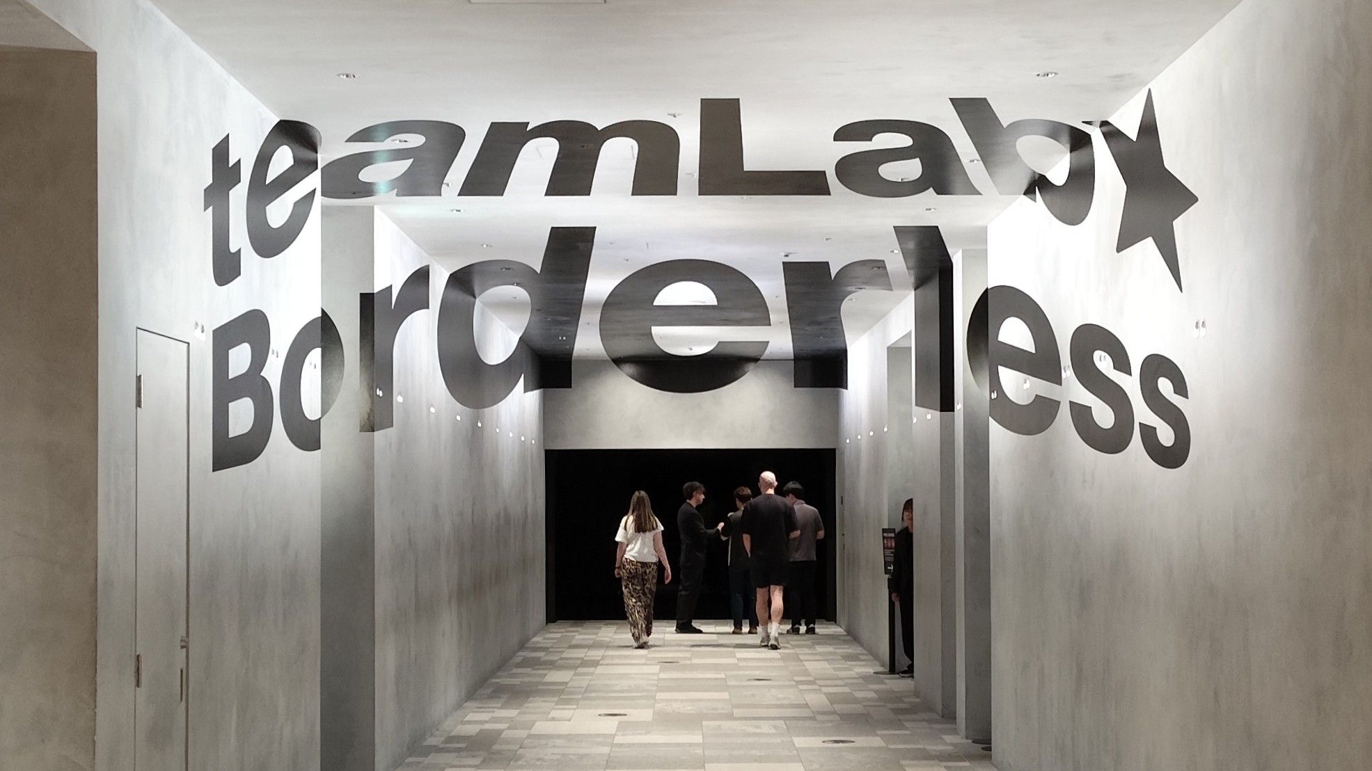 Teamlab borderless entry