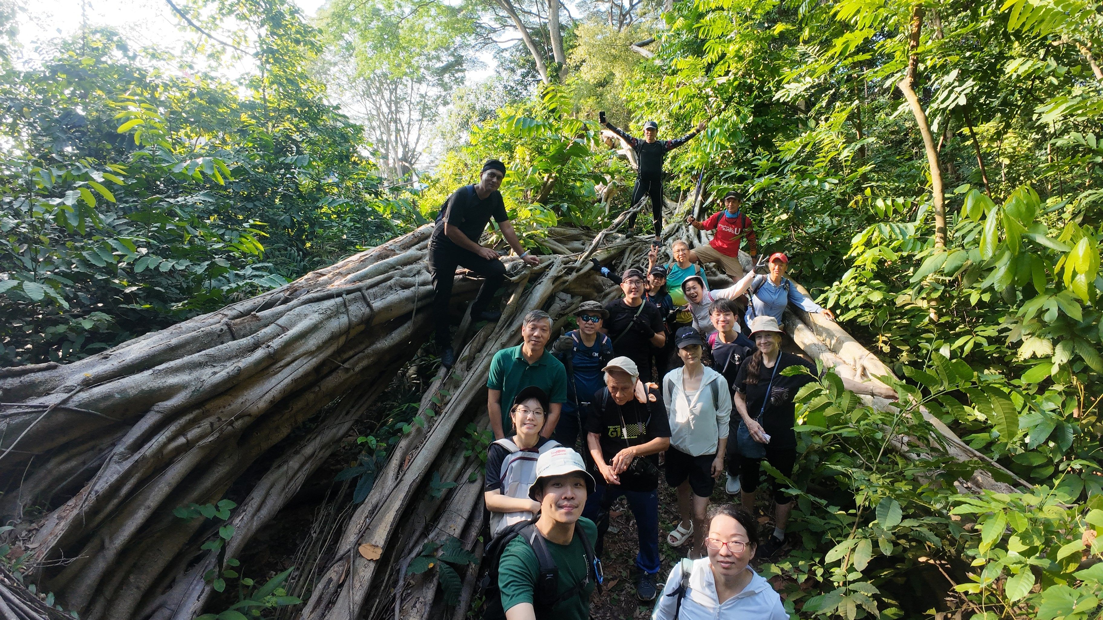 Group photo on the tree