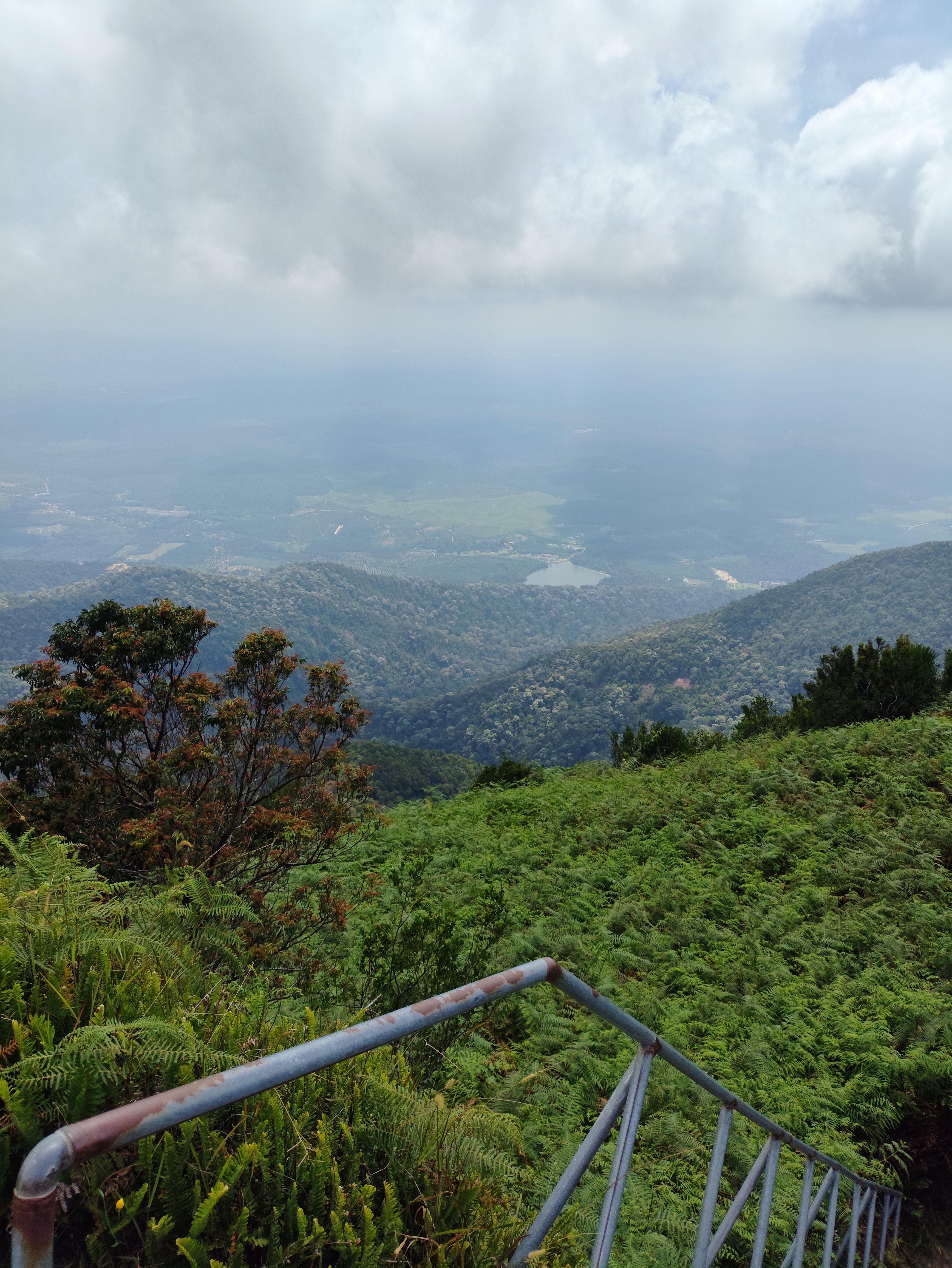 View from the summit