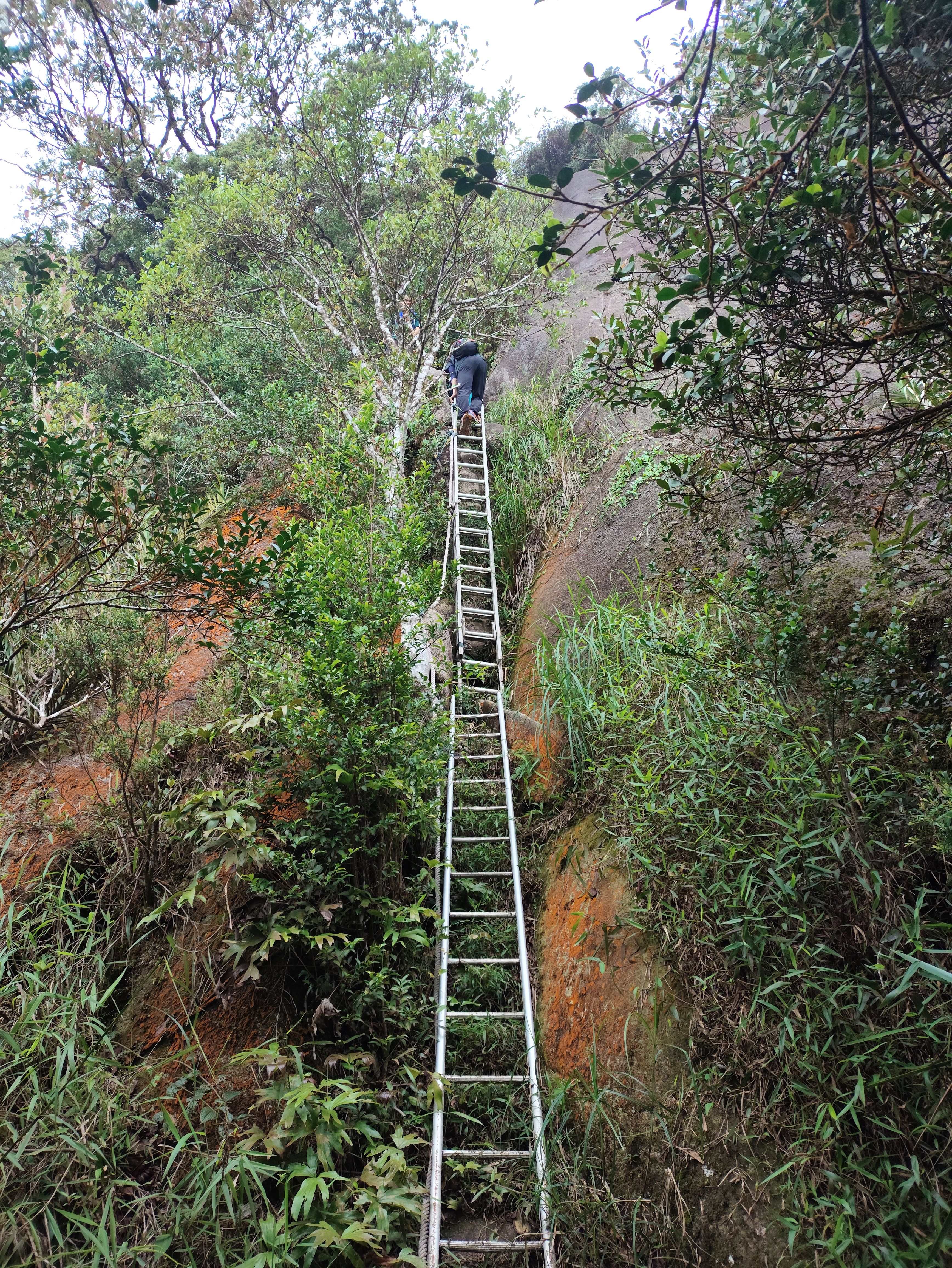 A huge boulder and ladders
