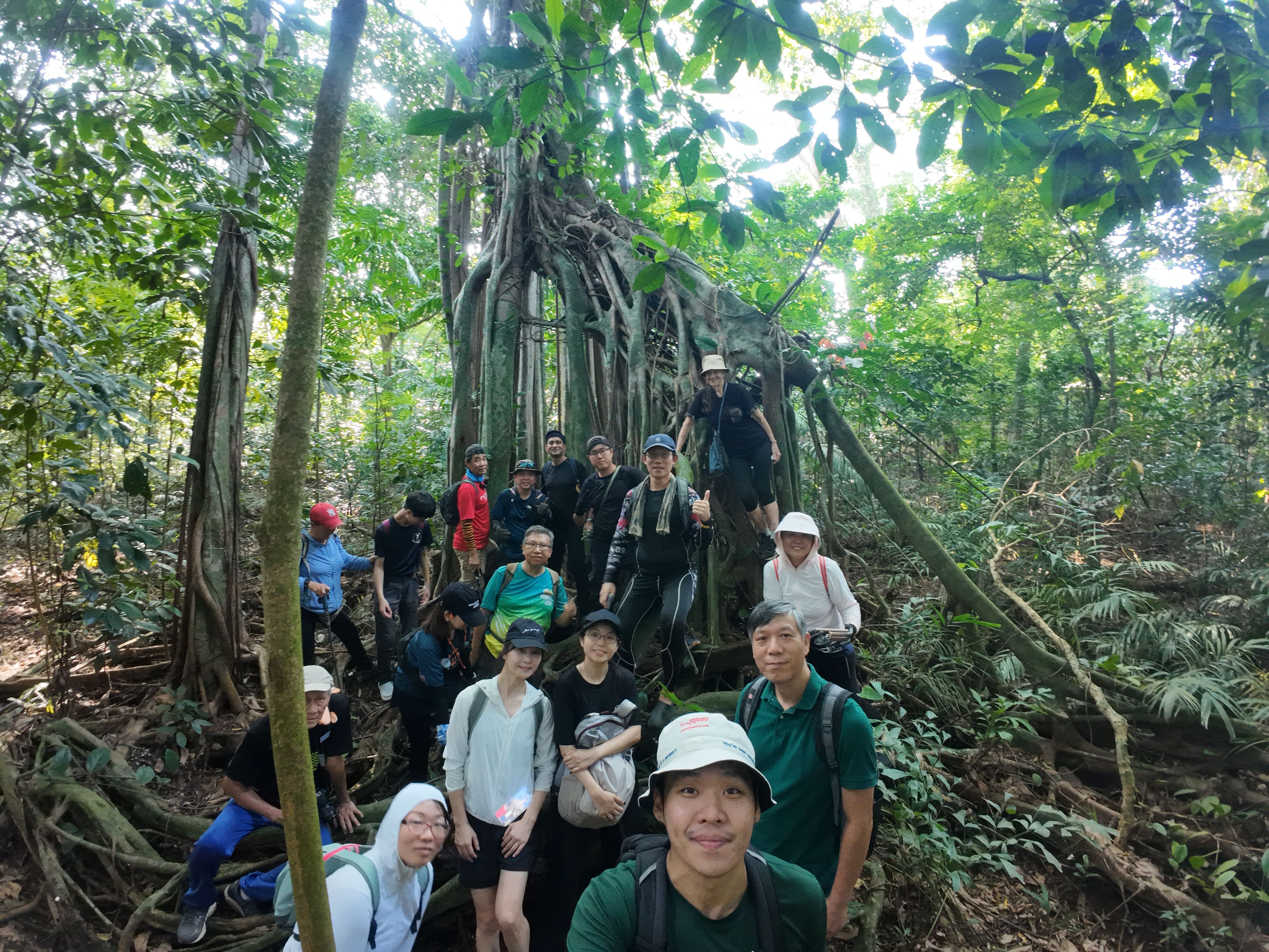 Group photo on the tree