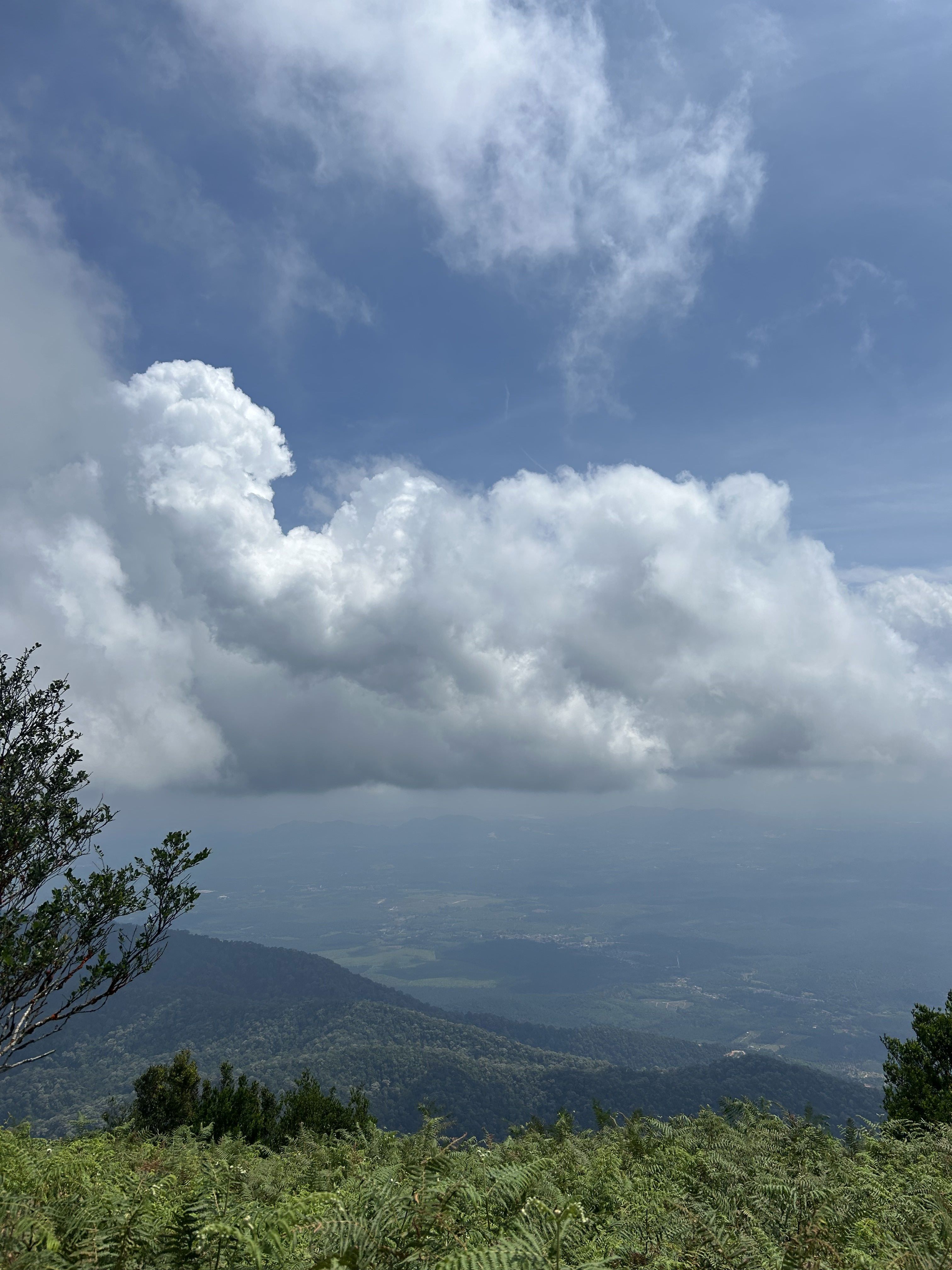 View from the summit